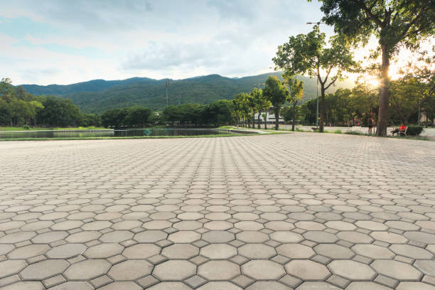 Best Professional Driveway Pavers  in Eureka, IL
