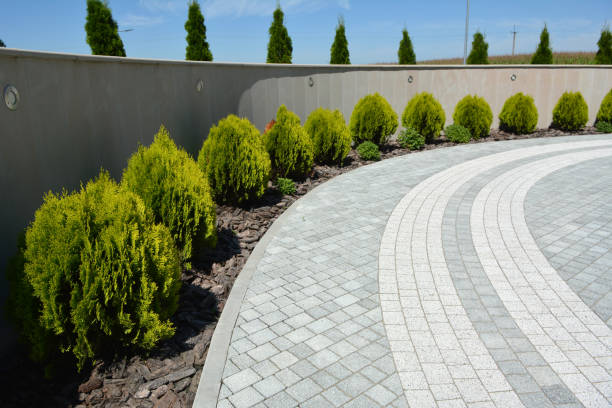 Best Local Driveway Pavers  in Eureka, IL